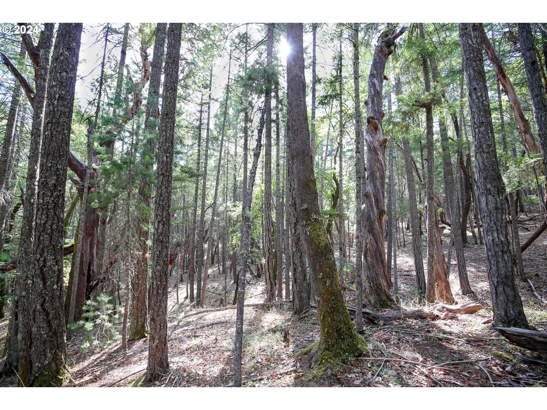 Quartz Creek Road Merlin, OR 97532 - Photo 7 of 19