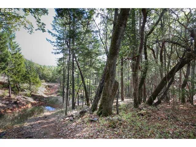 $99,500 | Quartz Creek Road, Merlin, OR 97532