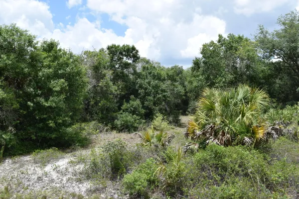 $44,987 | 17119 Northwest 276th Street, Okeechobee, FL 34972