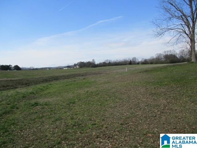 160 Highway Parcel Al, Unit 1 Cleveland, AL 35049 - Photo 6 of 10