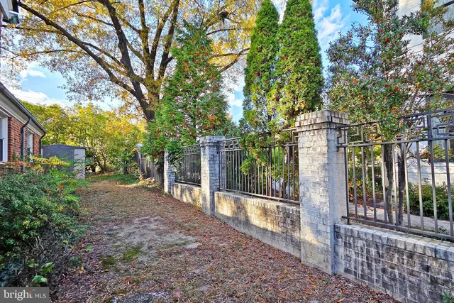 a view of a yard with plants and trees
