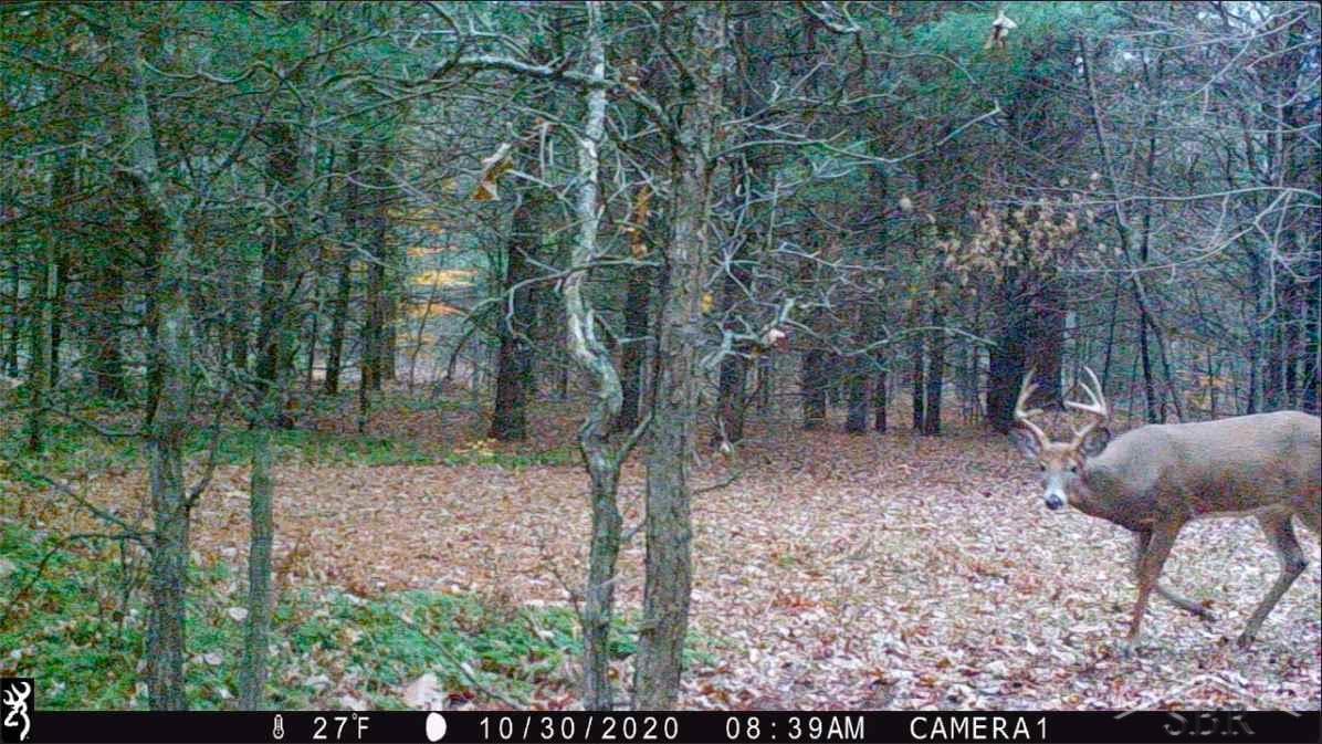 19949 West Marion Road Brant, MI 48614 - Photo 37 of 38