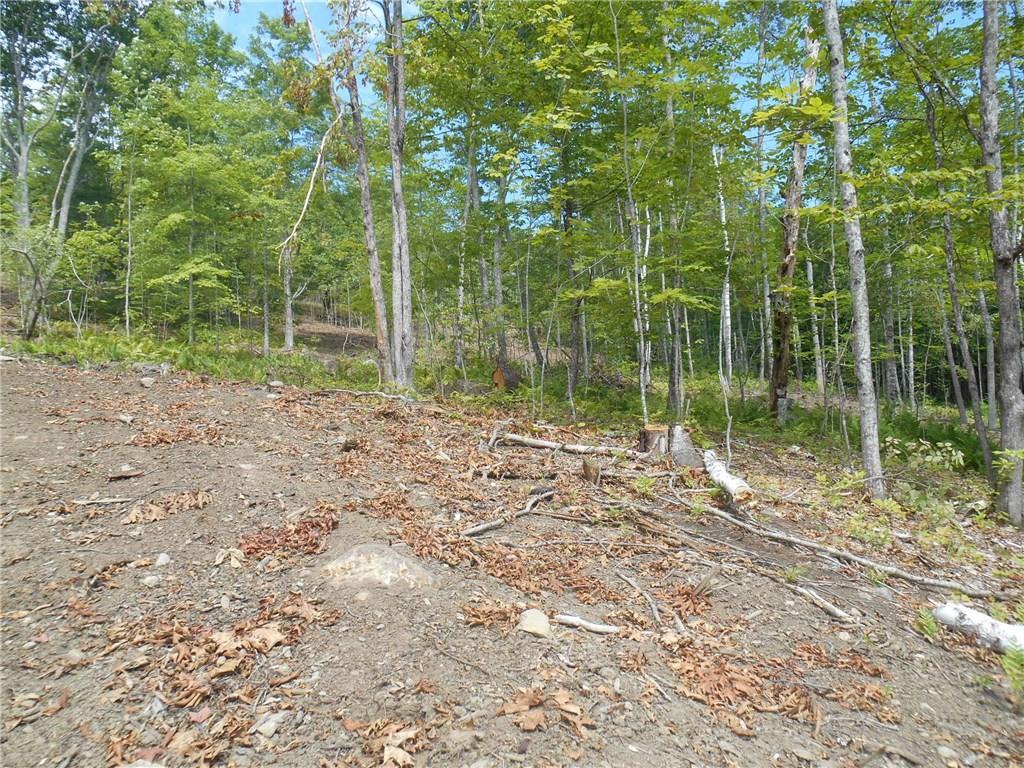 0 Payson Road Union, ME 04862 - Photo 24 of 27 Photo