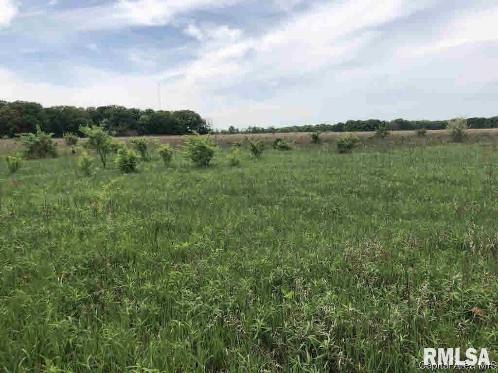 1948 East 2020th Road Watseka, IL 60970 - Photo 8 of 12 Gallery Image 8