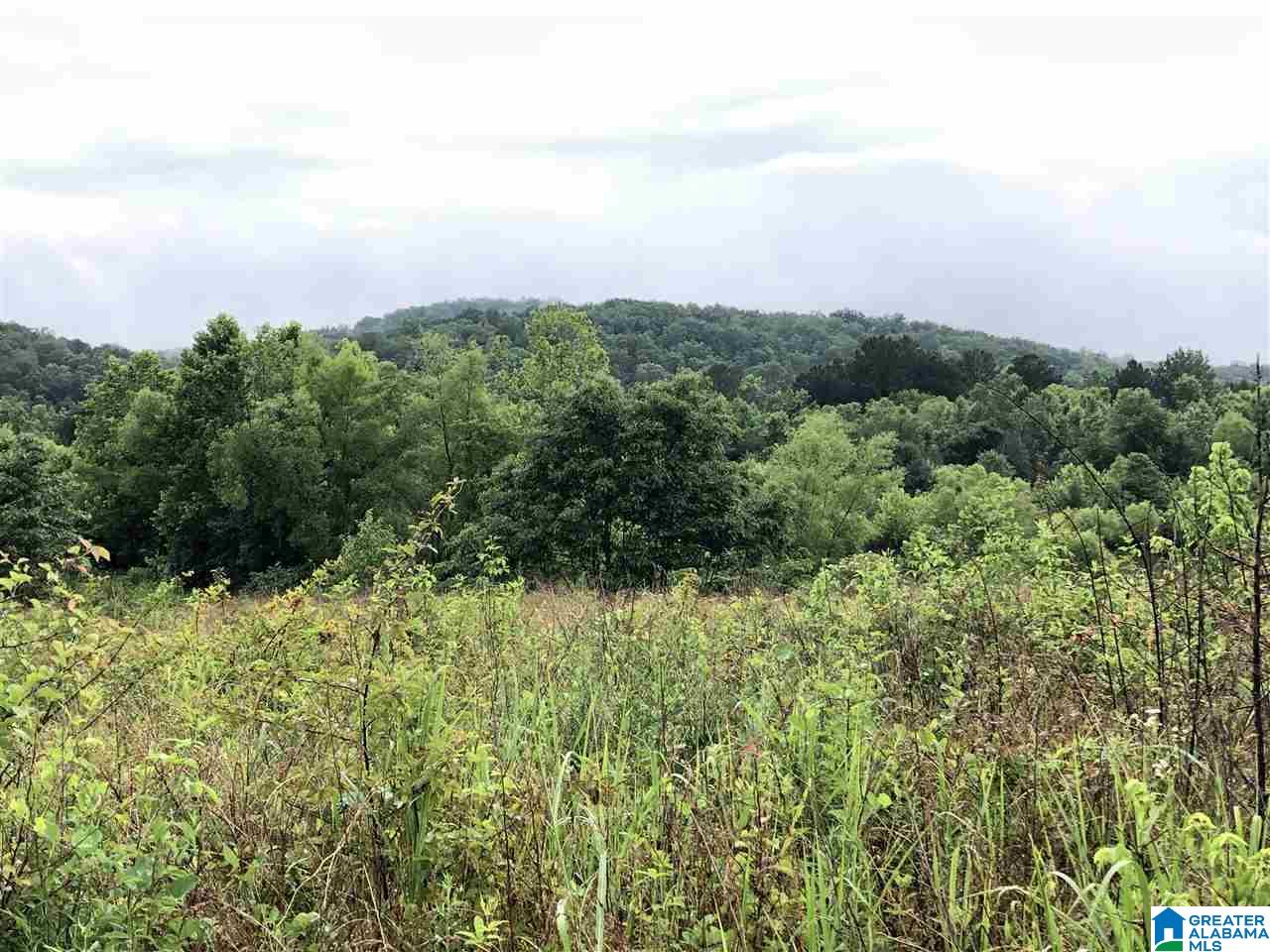 0 Old Downey Mill Road Anniston, AL 36207 - Photo 23 of 28