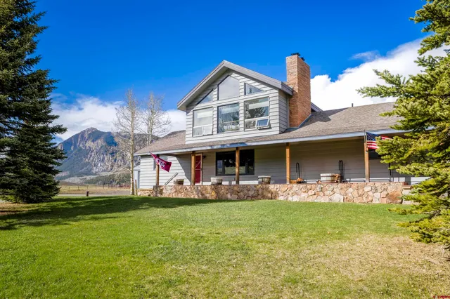 a view of a garden from a window