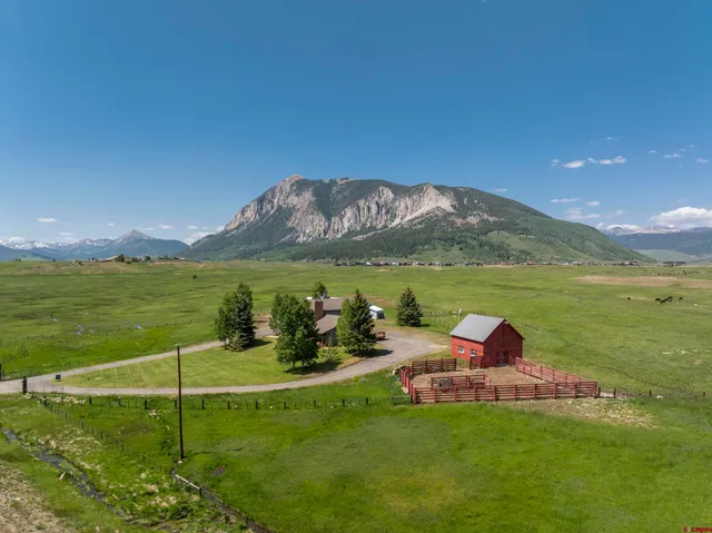 a view of a garden with an ocean