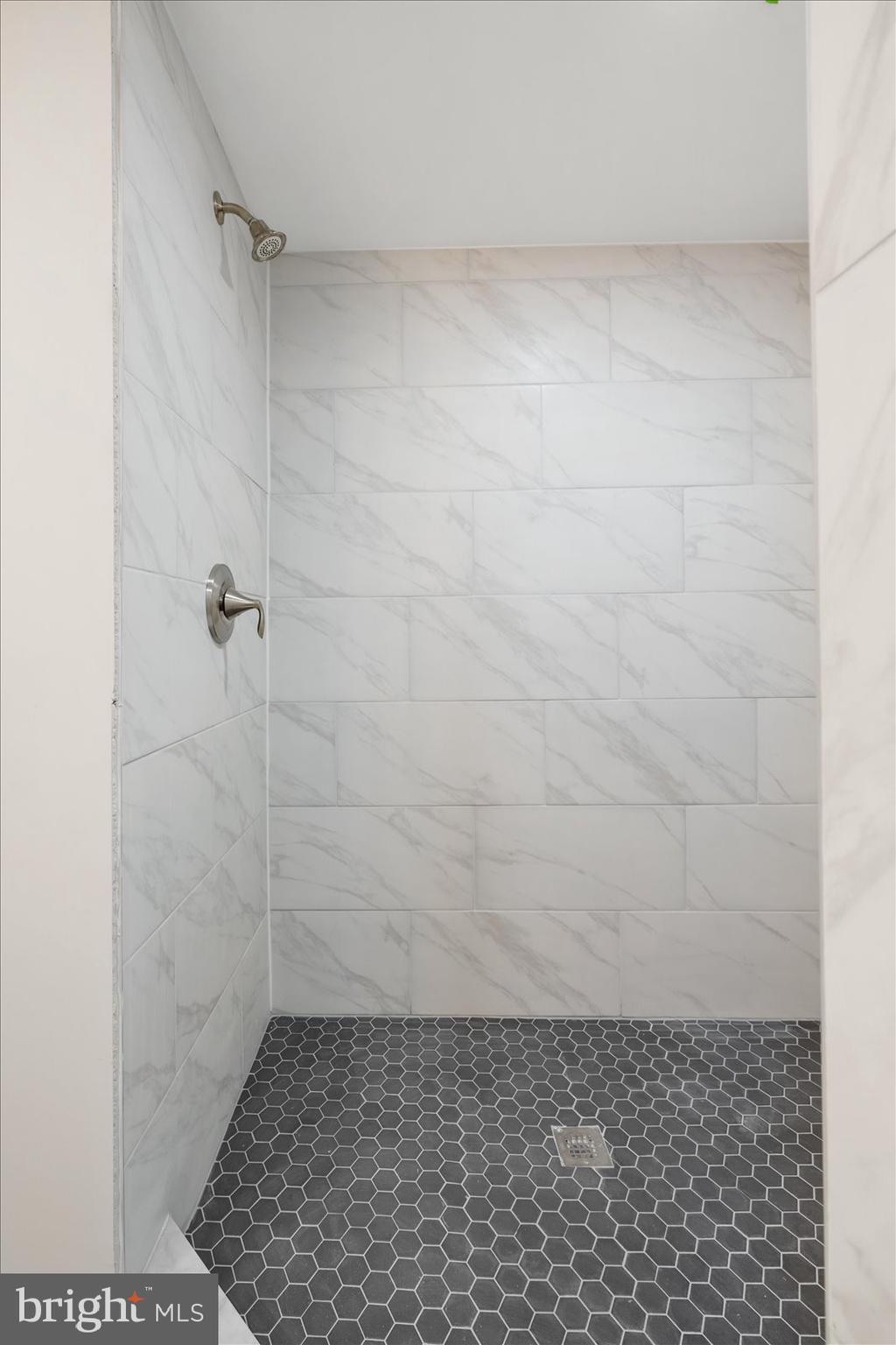 36451-3 3 Bridges Road Willards, MD 21874 - Photo 22 of 44 a bathroom with a shower