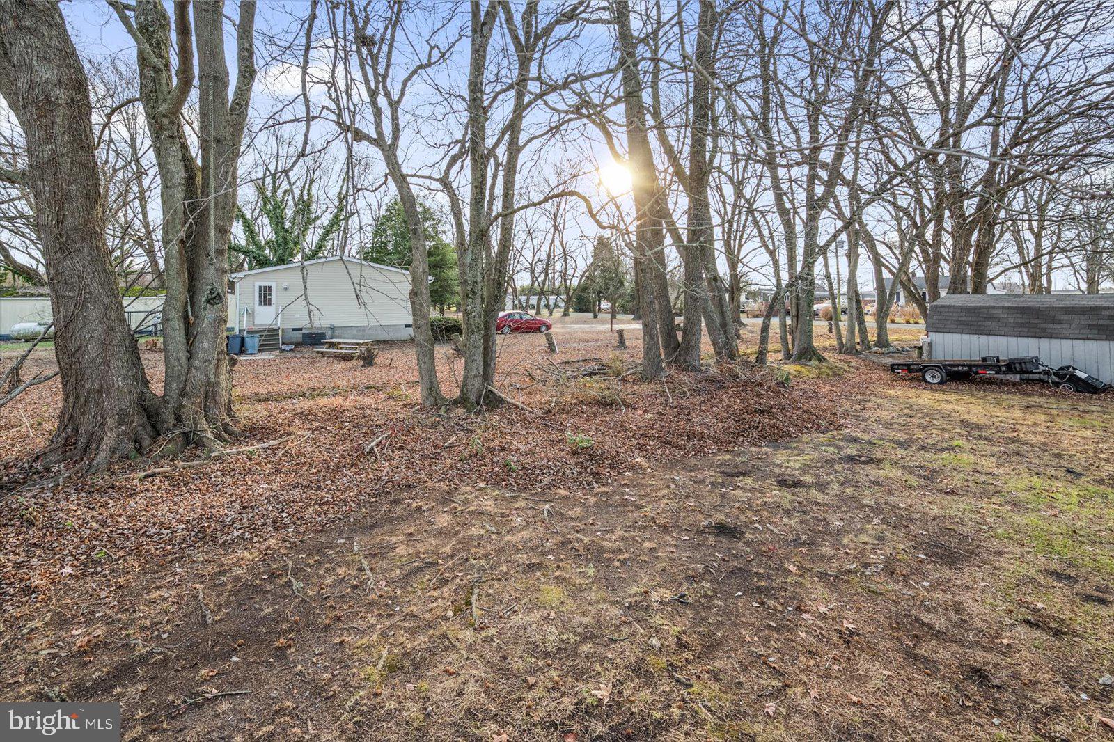 36451-3 3 Bridges Road Willards, MD 21874 - Photo 37 of 44 a view of a yard with a tree