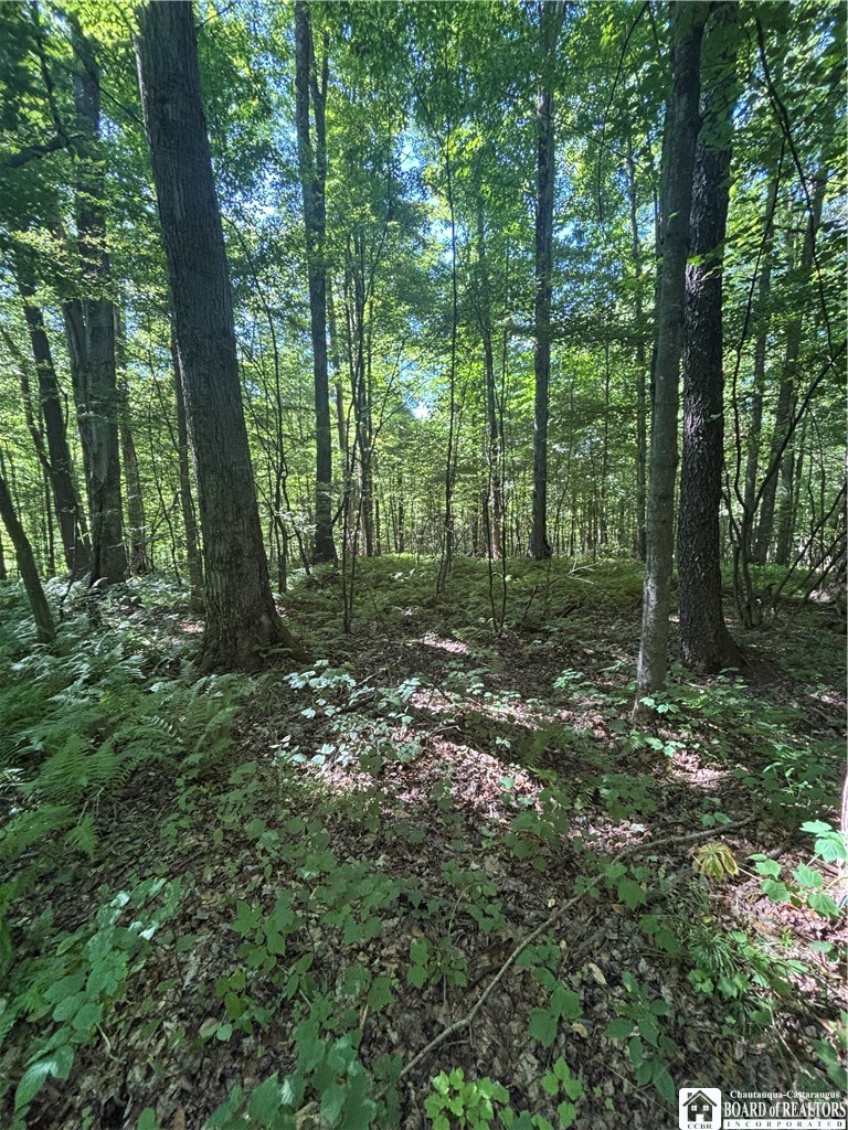 2045 Baxter Mills Road Ischua, NY 14743 - Photo 23 of 44 Gallery Image 23