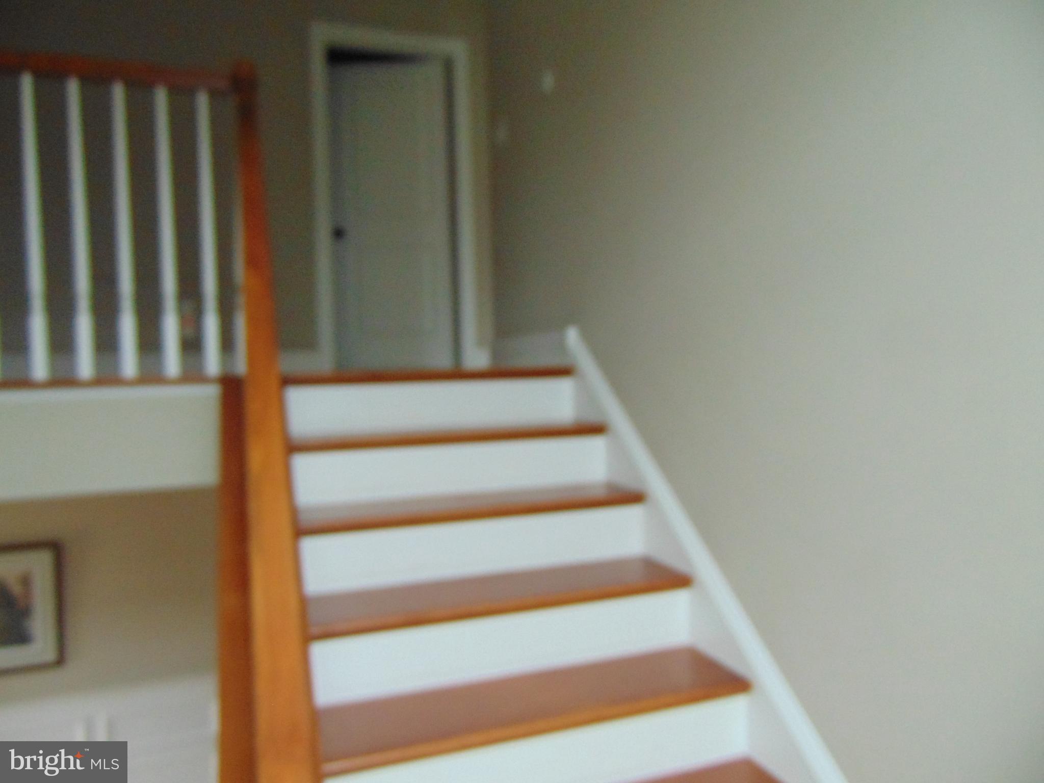 1224 Steel Road Havertown, PA 19083 - Photo 7 of 24