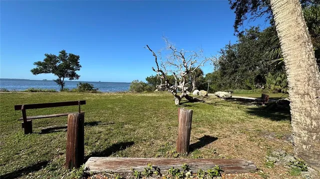 a view of a garden with an outdoor space