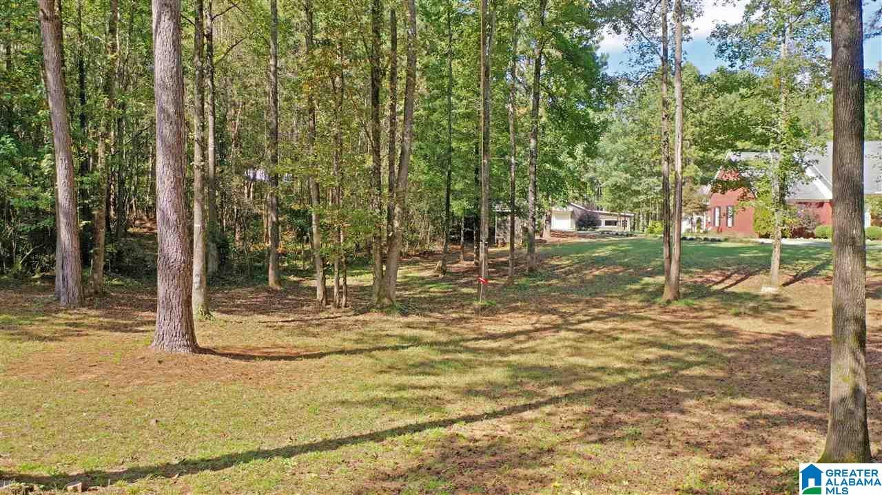 1245 Alston Farm Road Columbiana, AL 35051 - Photo 47 of 50