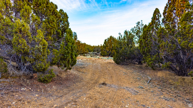 0 County Road 28 Levan, UT 84639 - Photo 44 of 207