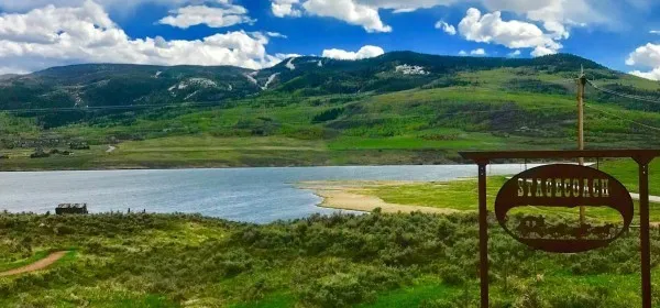 a view of a dry yard with trees in the background