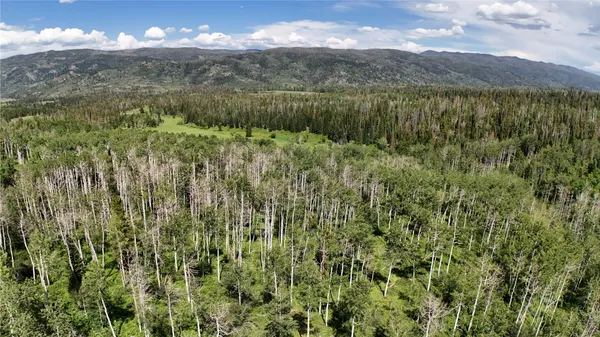 a view of an ocean and beach