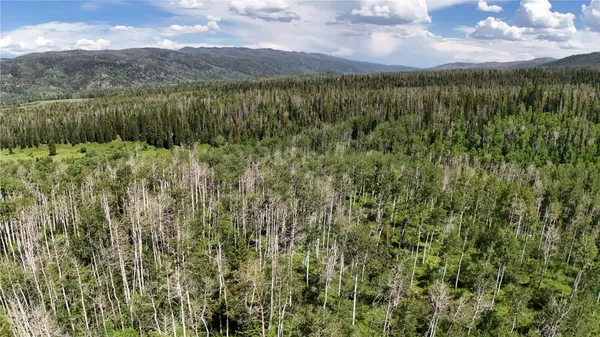 a view of a yard in front of a house