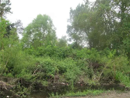 $50,400 | 3151 Sabine Street, New Orleans, LA 70114