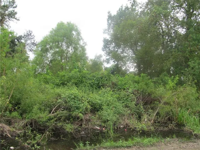 $50,400 | 3151 Sabine Street, New Orleans, LA 70114