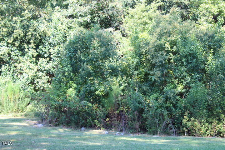 5700 Barbee Road Durham, NC 27713 - Photo 12 of 14 Back left wooded area