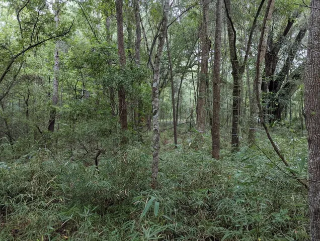 $250,000 | 33 Middleton Oaks Road, Charleston, SC 29414