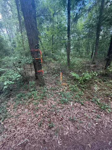 $250,000 | 33 Middleton Oaks Road, Charleston, SC 29414