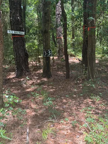 $250,000 | 33 Middleton Oaks Road, Charleston, SC 29414