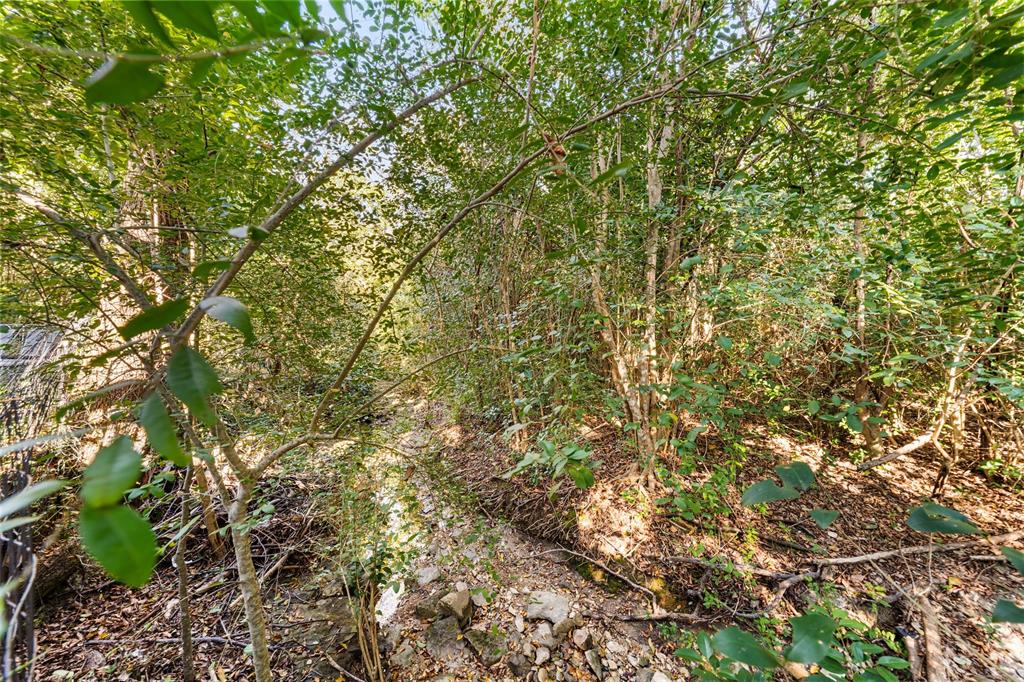 3825 North 30th Street Waco, TX 76708 - Photo 33 of 38 a view of a tree