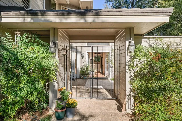 a view of a yard with plants and a large tree