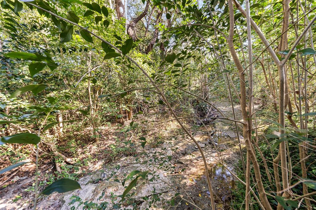 3825 North 30th Street Waco, TX 76708 - Photo 5 of 38 a view of a tree