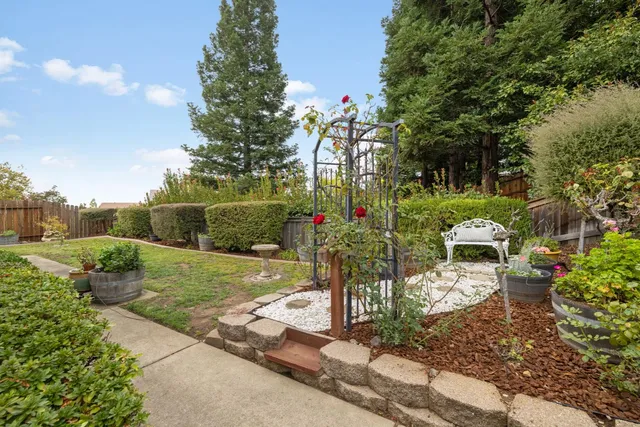 a view of a garden with a fountain
