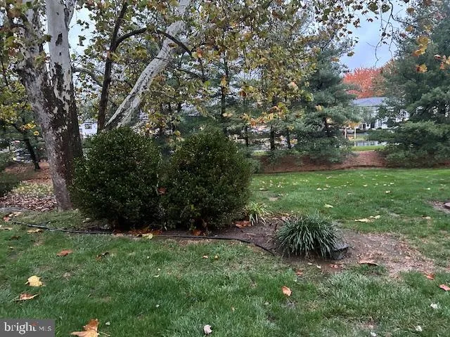a view of an outdoor space and a yard