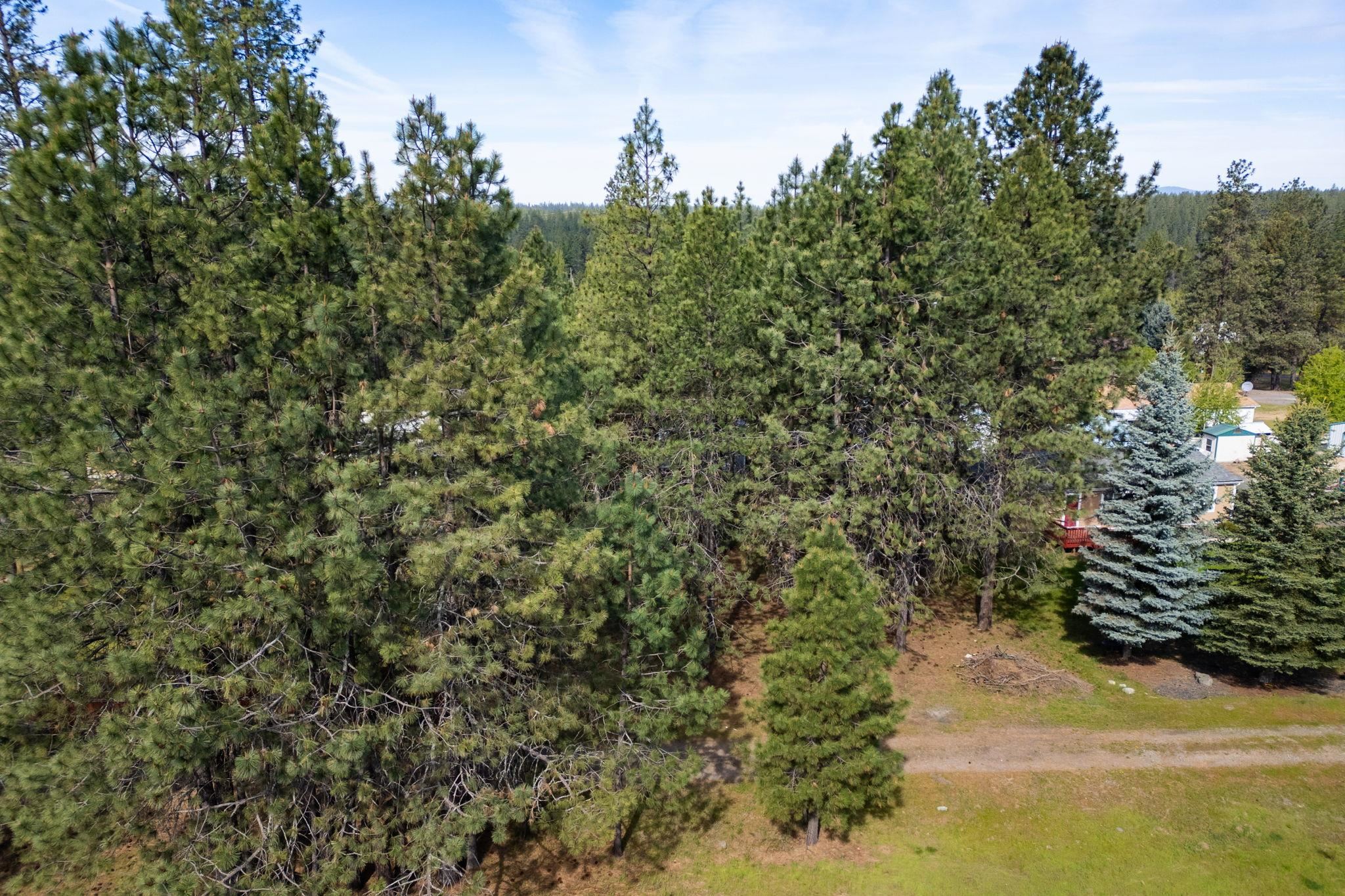 Xxxxx North Frontage Road Elk, WA 99009 - Photo 9 of 24