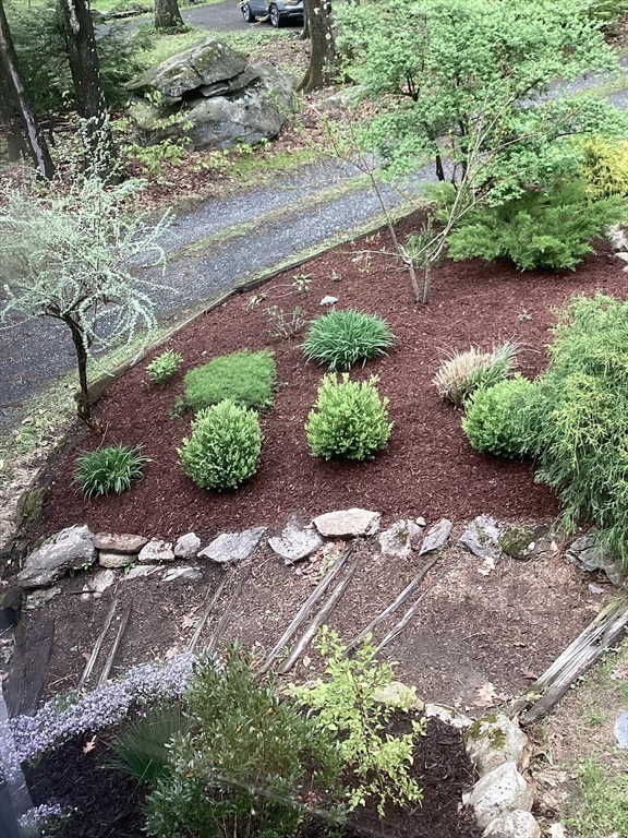 15 Gulf Road Pelham, MA 01002 - Photo 4 of 42 a view of a garden with plants and large trees