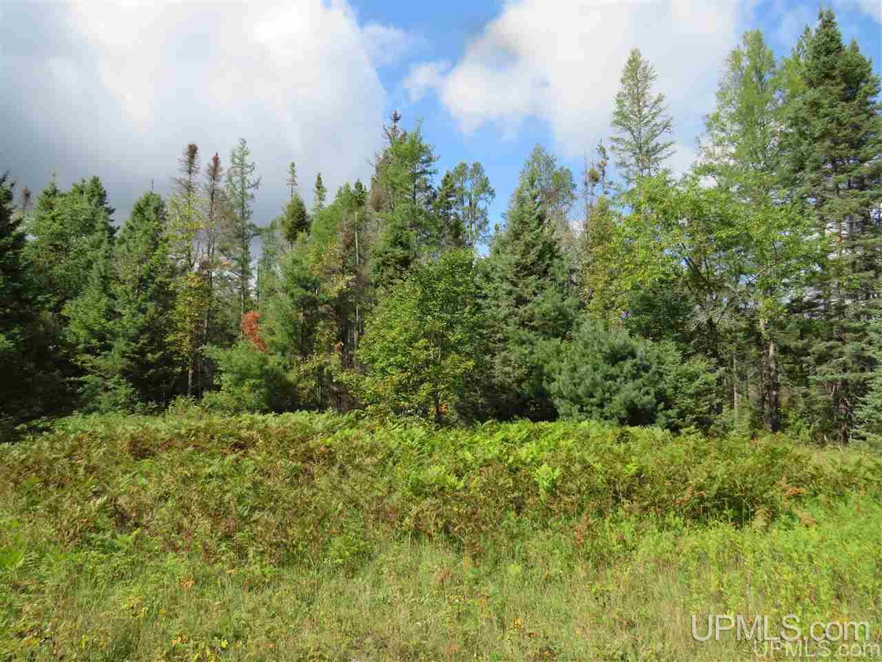 Tbd Off Lake On Three Road Trout Creek, MI 49967 - Photo 43 of 50