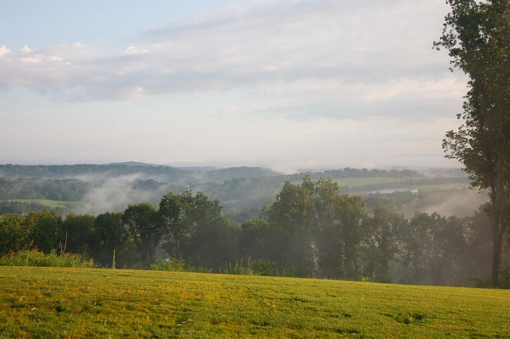 1384 James Ridge Road Loudon, TN 37774 - Photo 6 of 12 james ridge _0059
