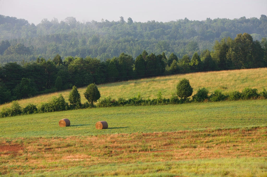 1384 James Ridge Road Loudon, TN 37774 - Photo 7 of 12 james ridge _0103