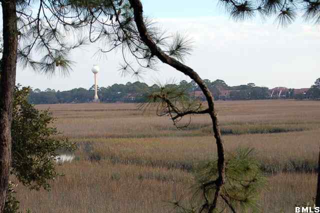 352 Blue Gill Road Fripp Island, SC 29920 - Photo 25 of 25 Additional Photo