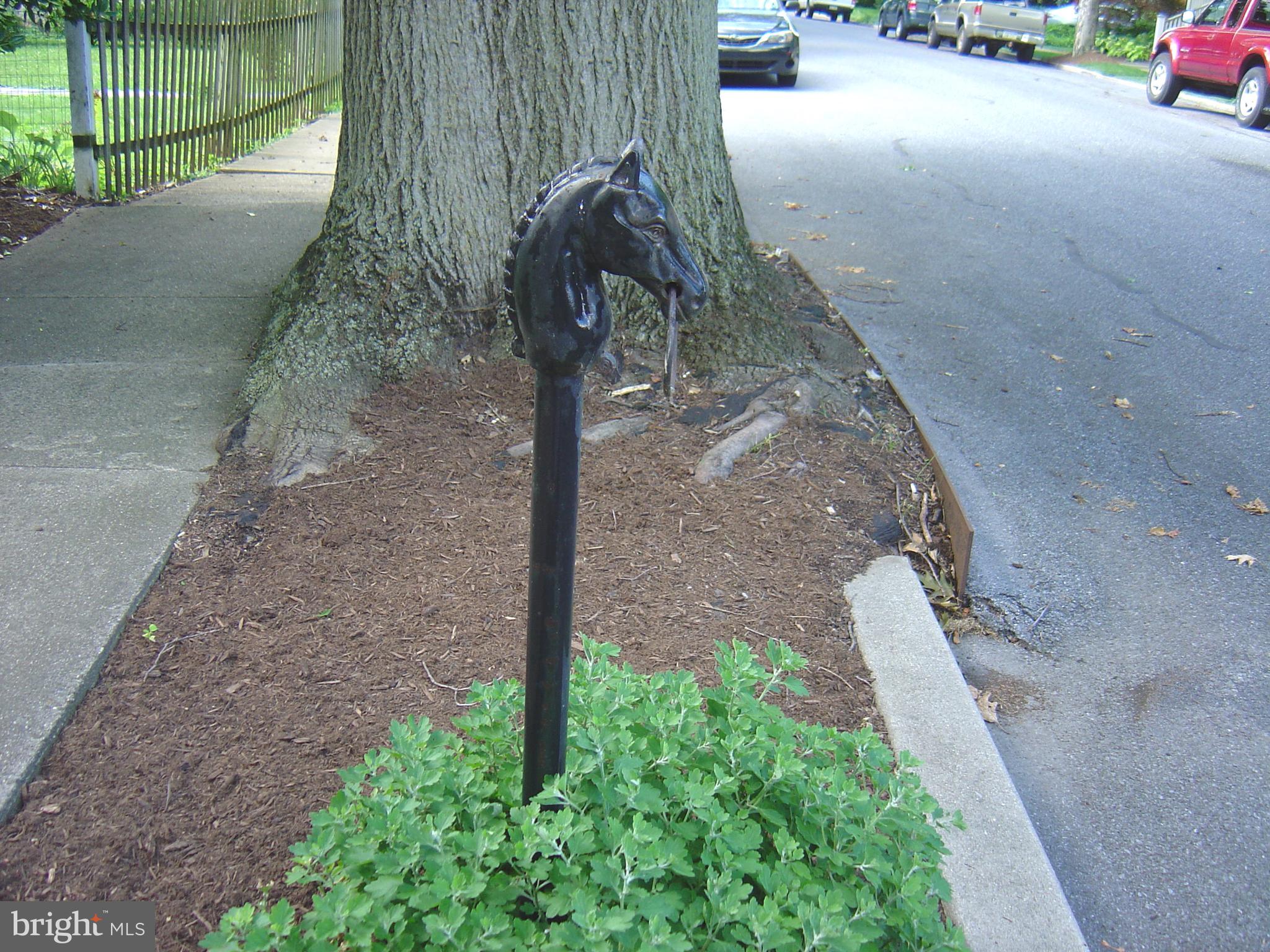 426 Linden Street Lititz, PA 17543 - Photo 9 of 38 Do you have a horse and buggy?