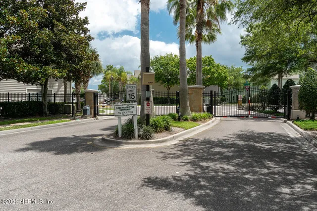 a view of a park with palm trees