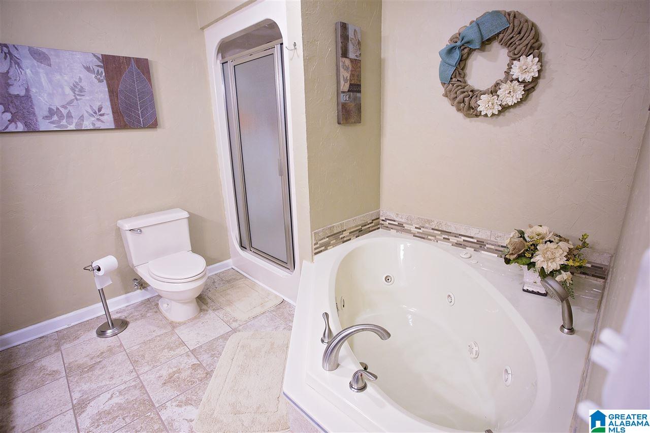 6031 Springview Drive Mount Olive, AL 35117 - Photo 19 of 32