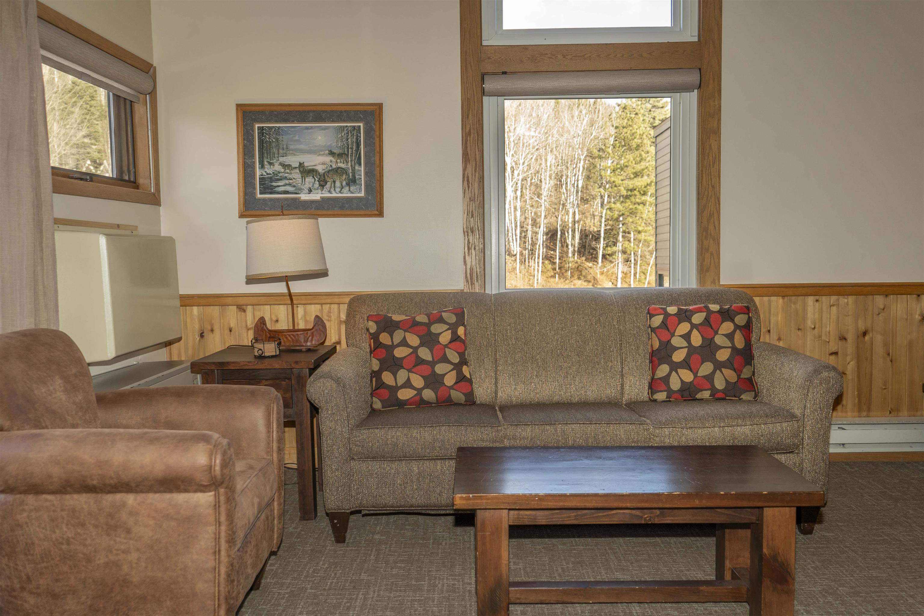 111 Bridge Run Lane, Unit 111 Lutsen, MN 55612 - Photo 23 of 48 Carpeted living room with a wainscoted wall, wood walls, and a baseboard heating unit