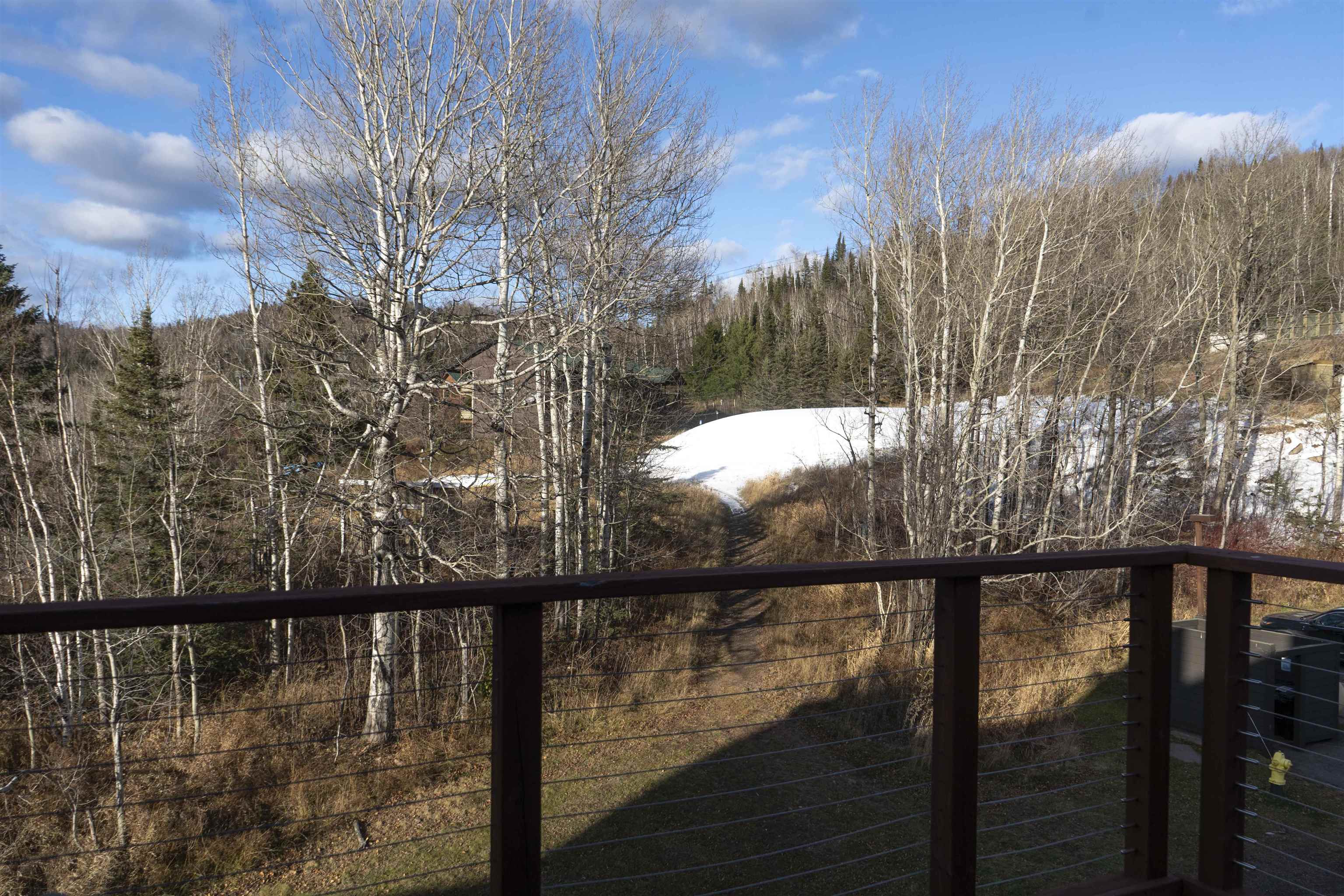 111 Bridge Run Lane, Unit 111 Lutsen, MN 55612 - Photo 34 of 48 View of yard featuring a balcony and a wooded view