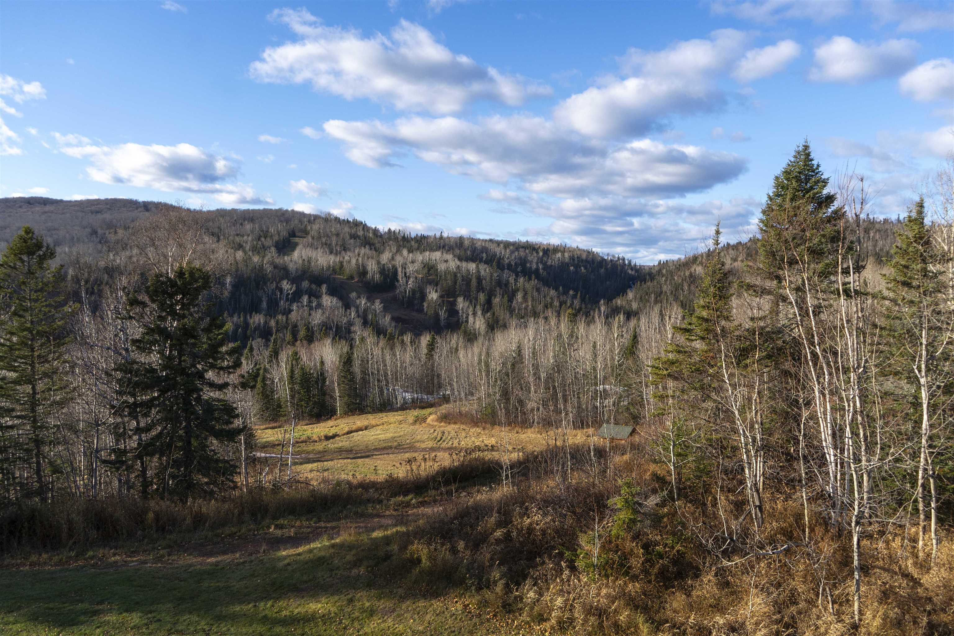 111 Bridge Run Lane, Unit 111 Lutsen, MN 55612 - Photo 35 of 48 View of mountain background with a heavily wooded area