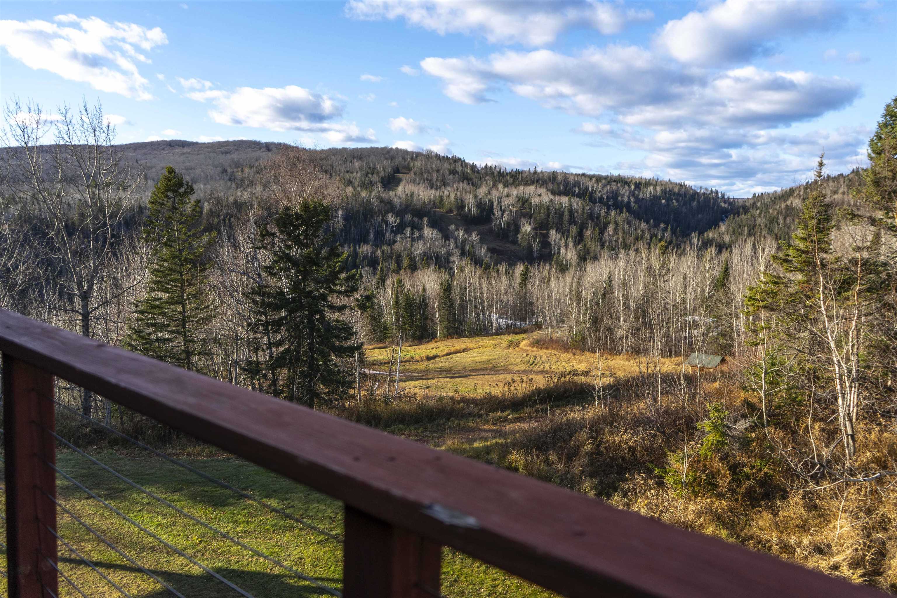 111 Bridge Run Lane, Unit 111 Lutsen, MN 55612 - Photo 37 of 48 View of mountain background with a forest