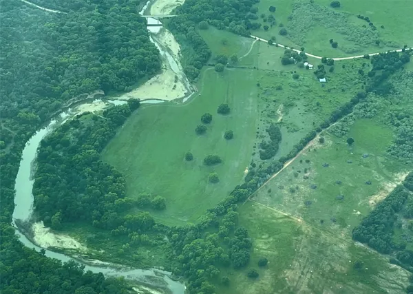 a view of a lush green space