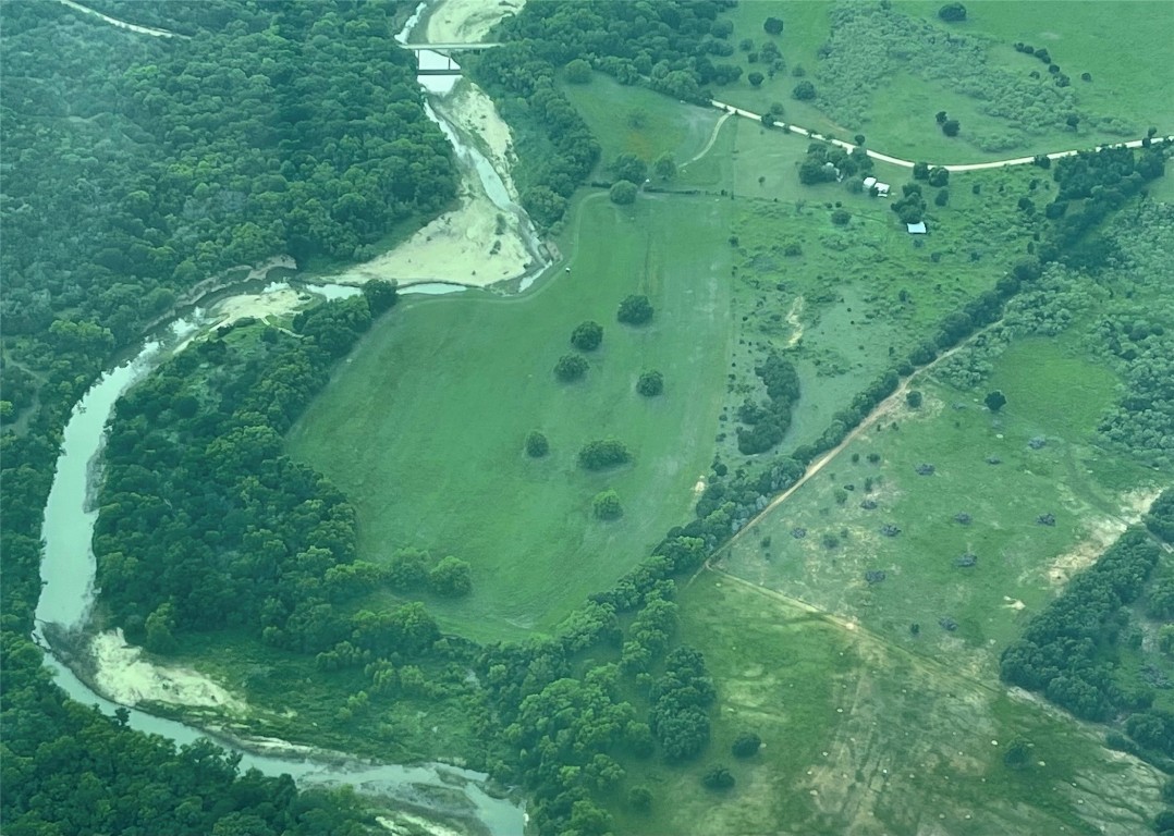 a view of a lush green space
