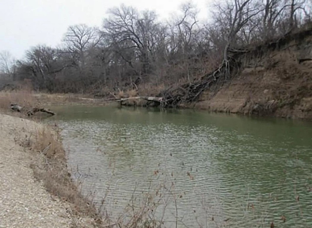 2371 County Road 2371 Road Meridian, TX 76665 - Photo 11 of 34 a view of a lake with a yard