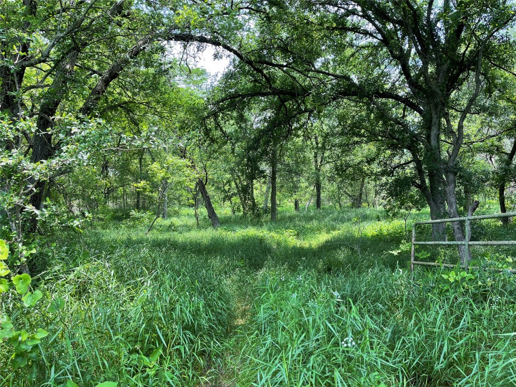 2371 County Road 2371 Road Meridian, TX 76665 - Photo 30 of 34 a backyard of a house with lots of green space