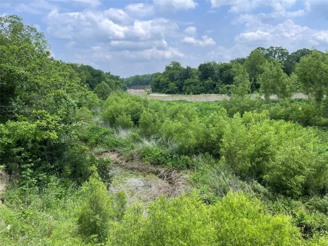 a view of a bunch of trees in a yard